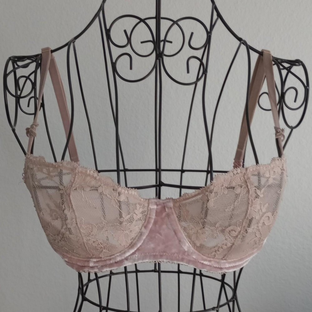 Victoria's Secret Velvet Floral Lace Pink Sheer Micromesh Bra
